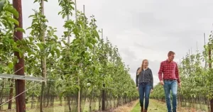 HBO Bedrijfskunde en Agrifoodbusiness – Aeres Hogeschool